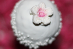 White flower-cake-pop
