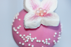 Pink and white flower-cake-pops