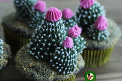 cactus- cupcake