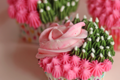 cupcakes